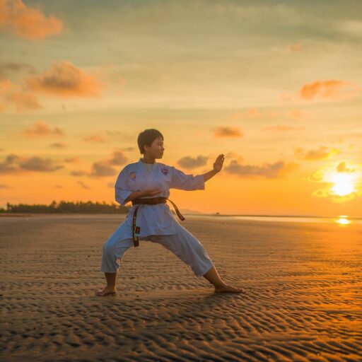 Karate MMA logo