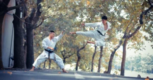 Featured image for 75 Must-Know Martial Arts Styles to Master in 2025